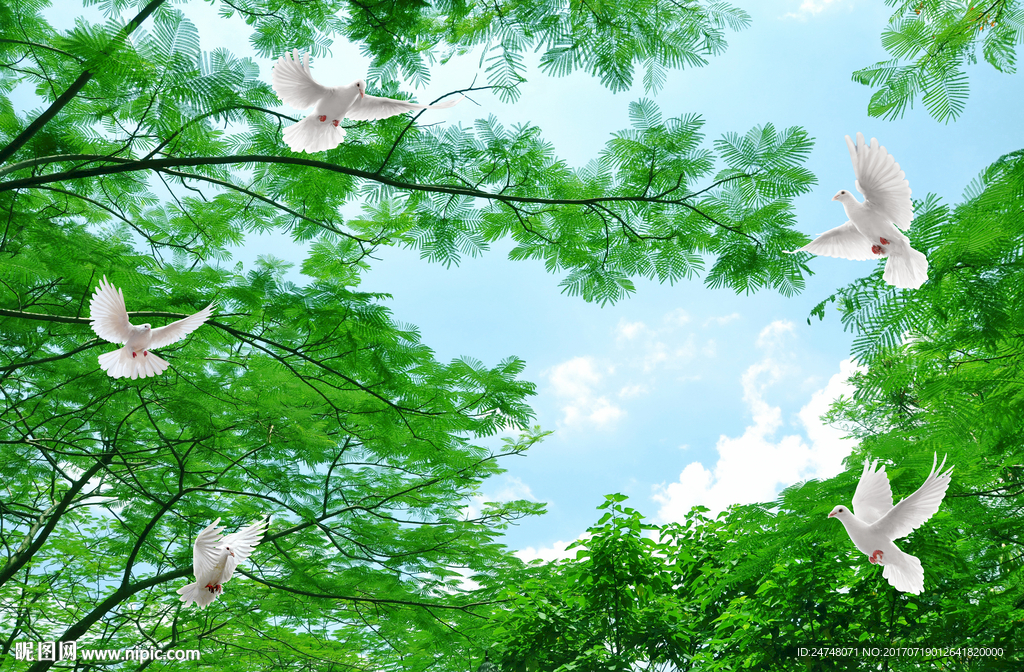 天空树叶鸽子蓝天白云风景吊顶