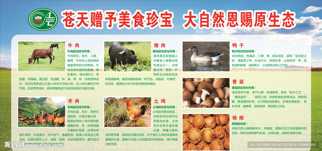 大自然原生体动物