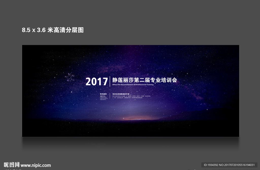 专业培训会 展板背景板