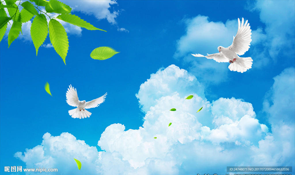 蓝天白云鸽子树叶天空