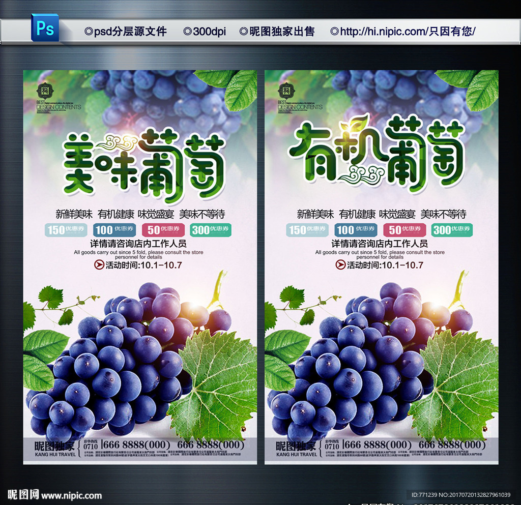 有机葡萄 葡萄上市