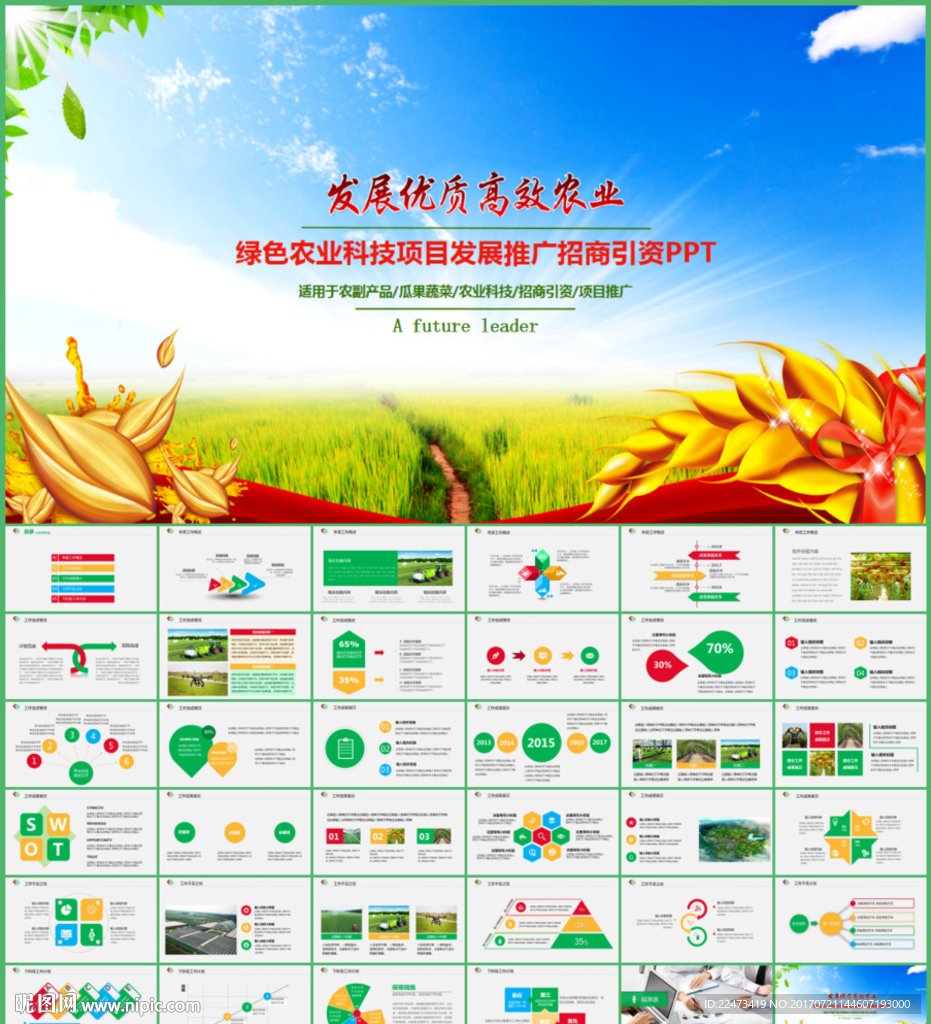 绿色生态农业水果蔬菜农产品招商