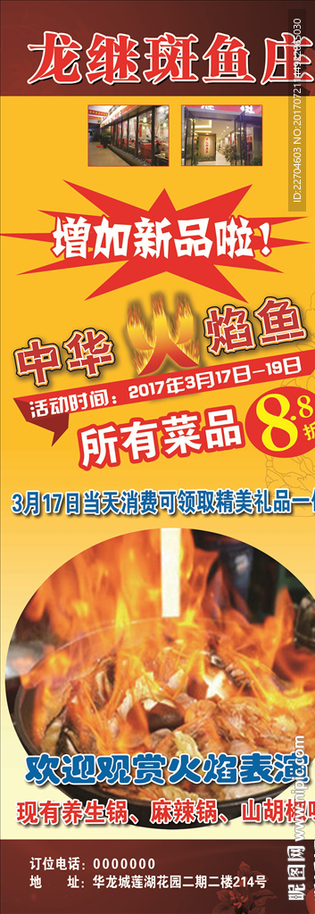 中华火焰鱼