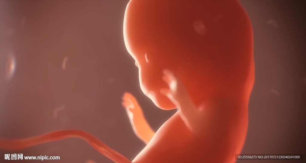 生命起源-婴儿-子宫-细胞分裂