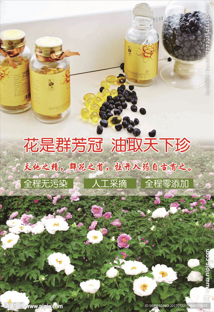 油牡丹