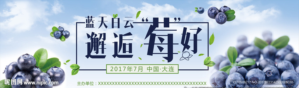 蓝莓节