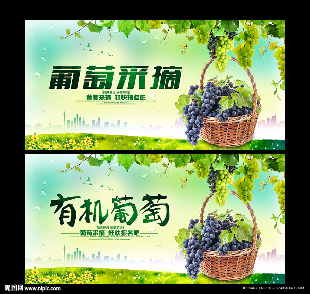 葡萄