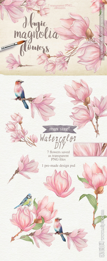 水彩手绘花卉花朵