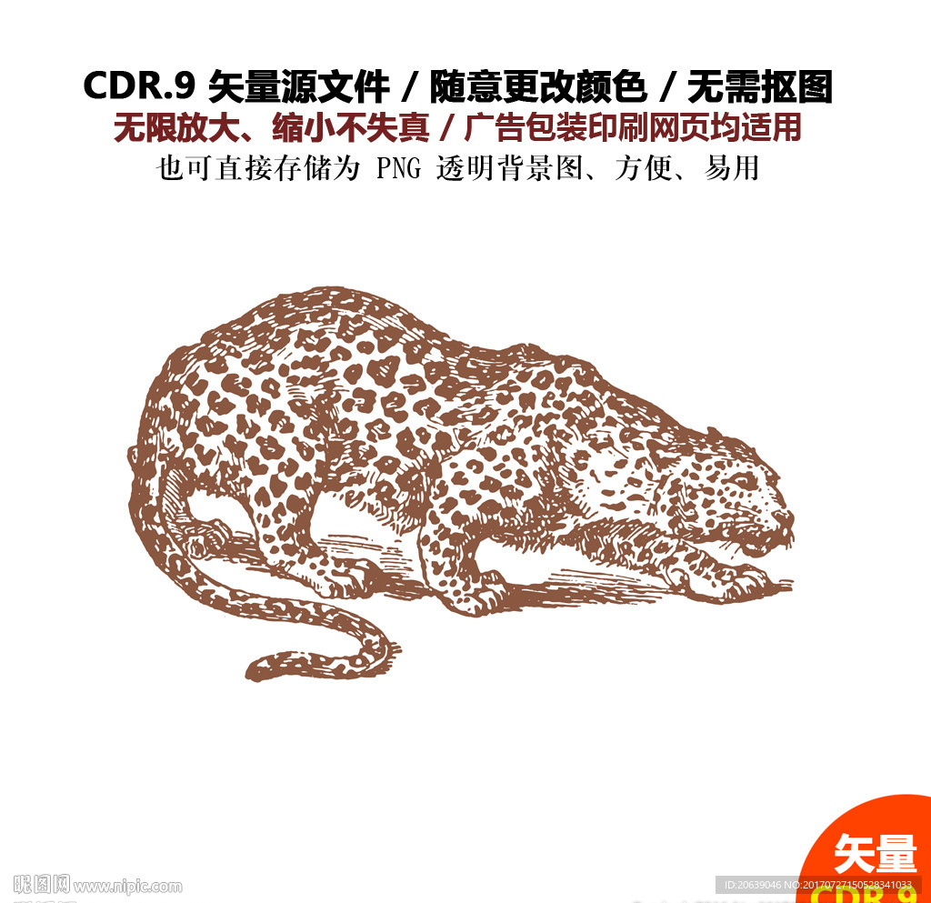 手绘豹纹图形猎豹雪豹矢量图