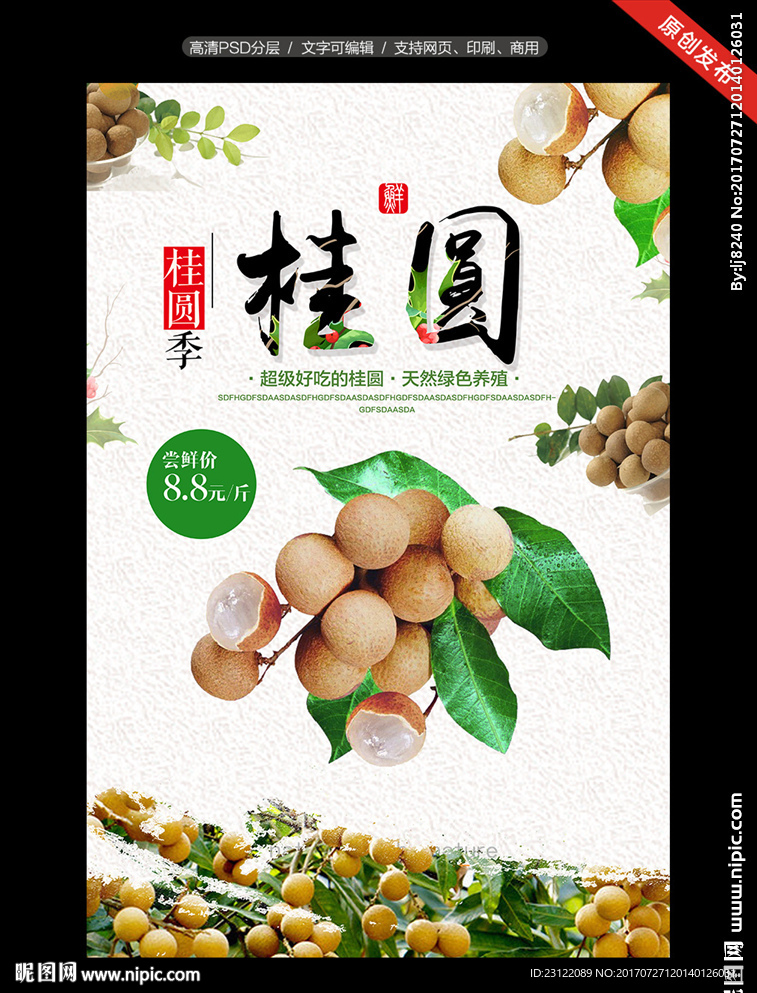 桂圆海报