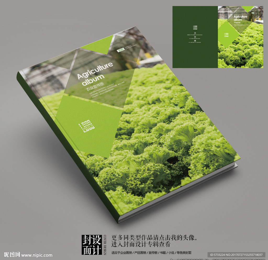 有机蔬菜种植农业企业宣传册封面