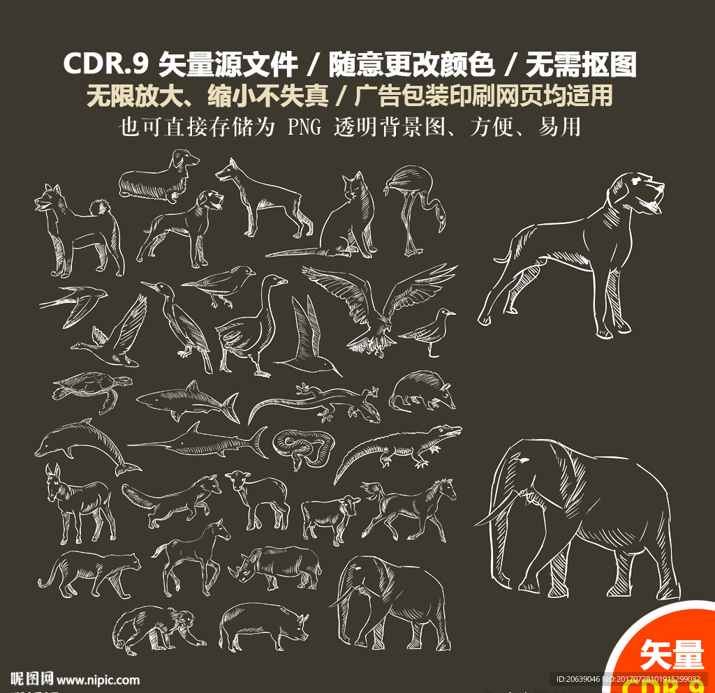 手绘动物线描动物粉笔画矢量图