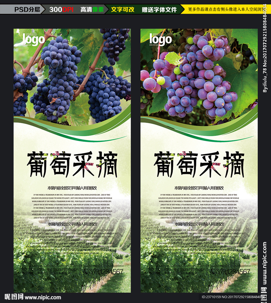 葡萄