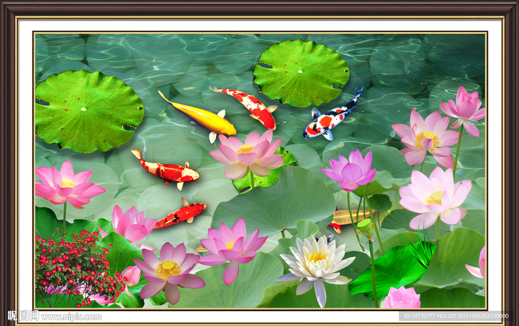 荷花鲤鱼图