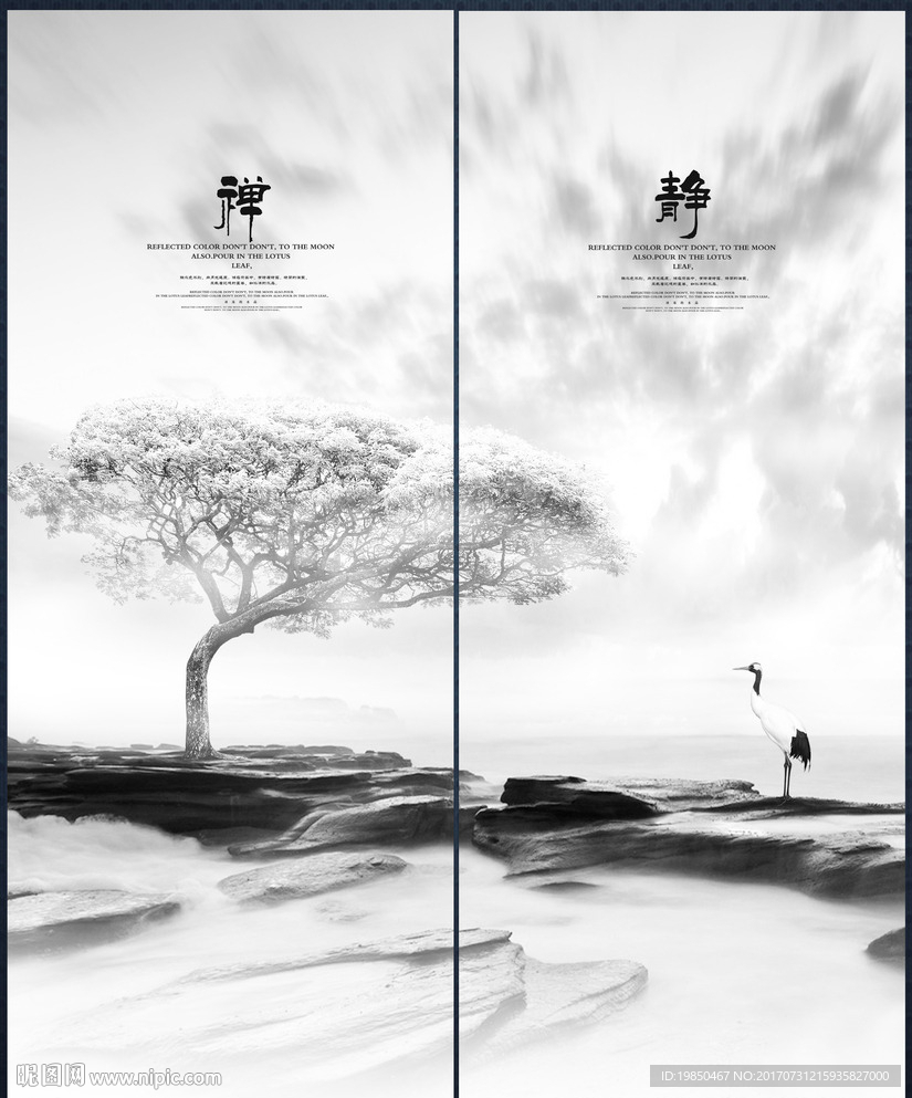 禅