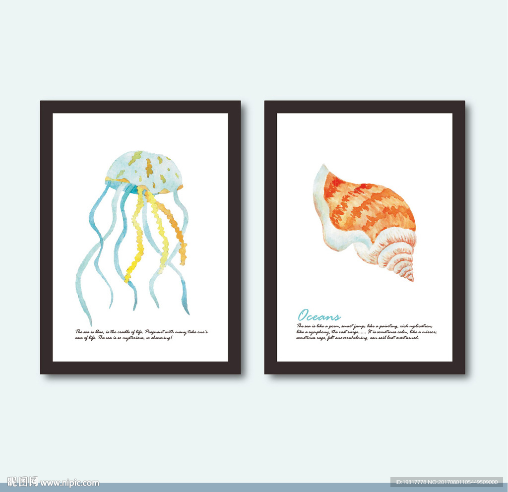 手绘水母海螺 装饰画芯