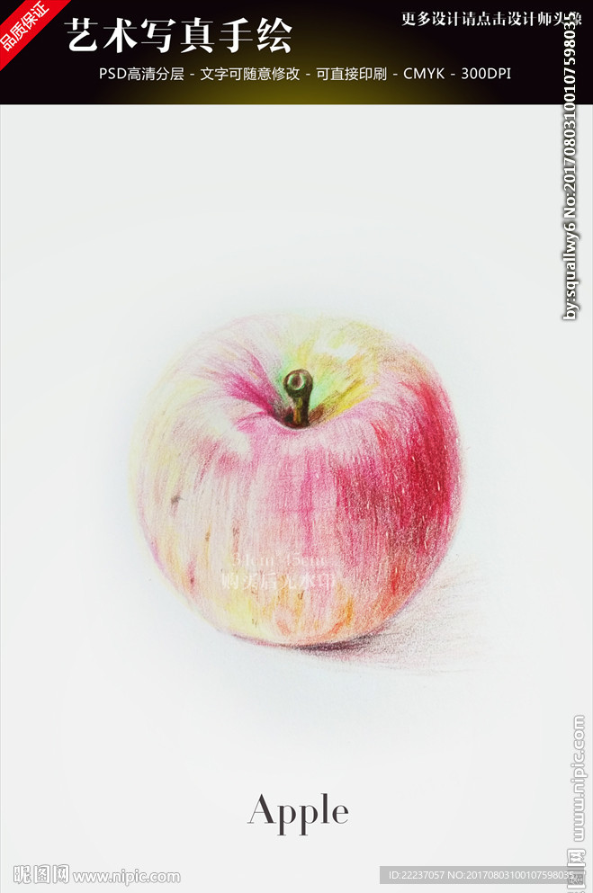 高清艺术铅笔手绘苹果