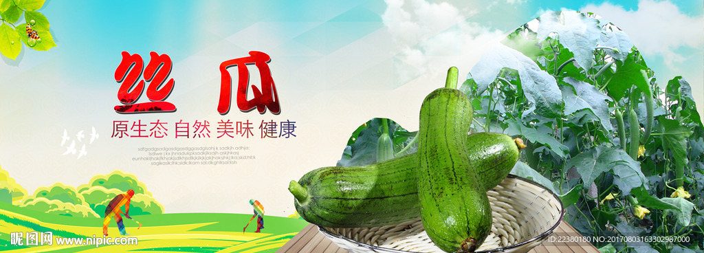 丝瓜