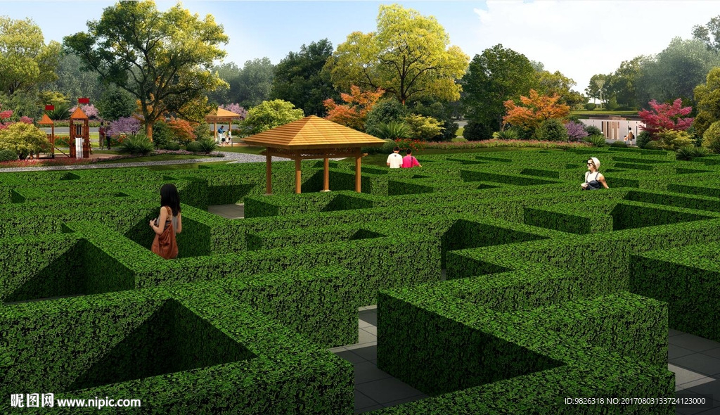 新农村改造植物迷宫