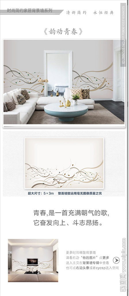 简约抽象动感线条电视背景墙