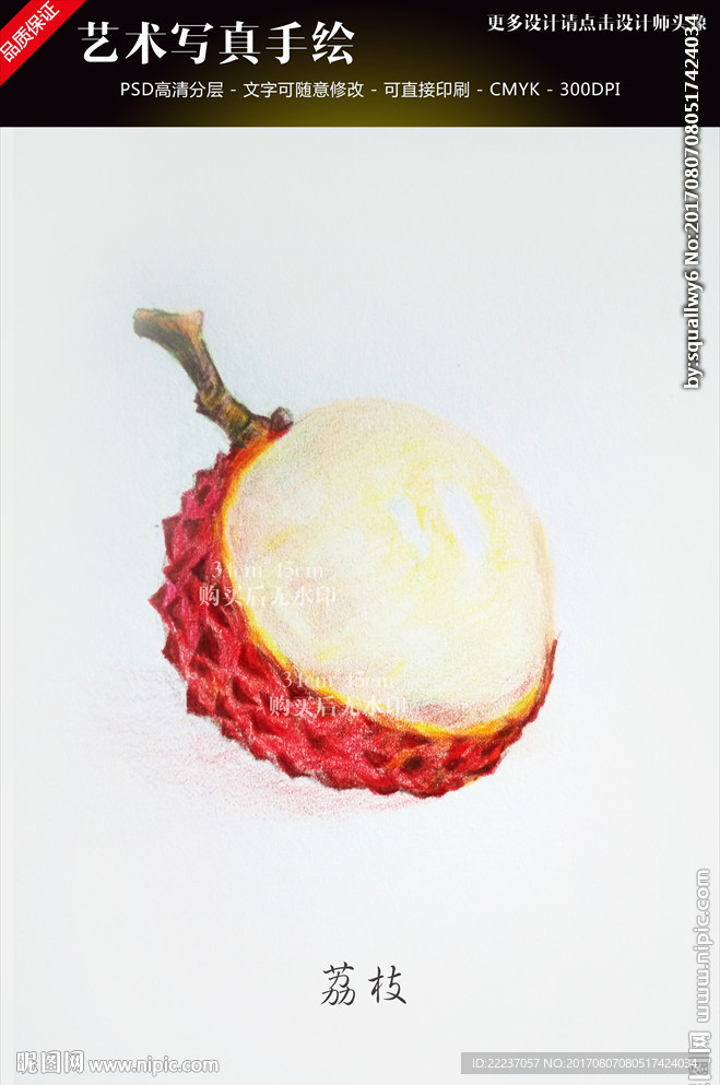 铅笔素描手绘荔枝