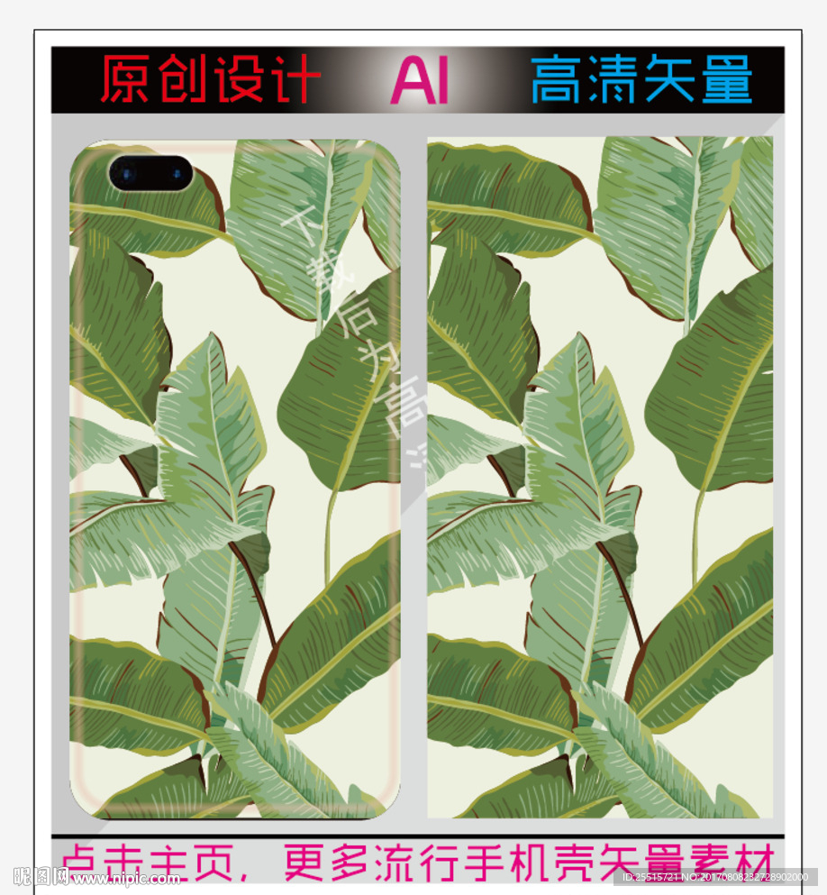 芭蕉叶手机图片