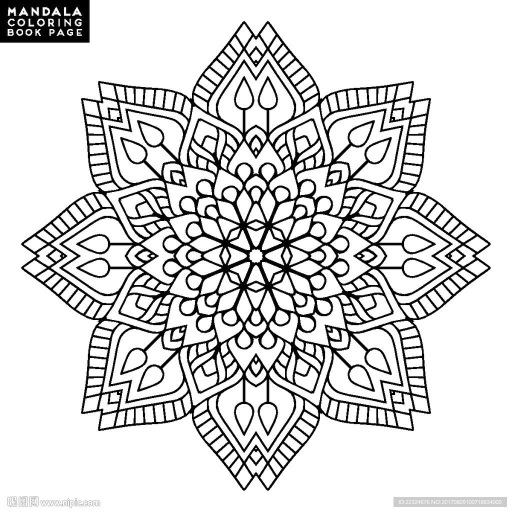 经典花纹