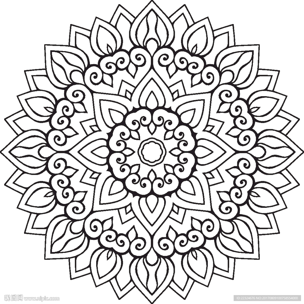 经典花纹