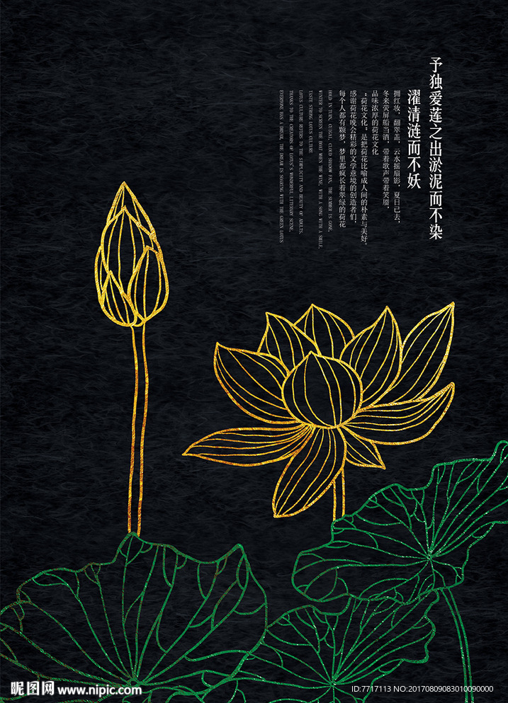 中国风荷花