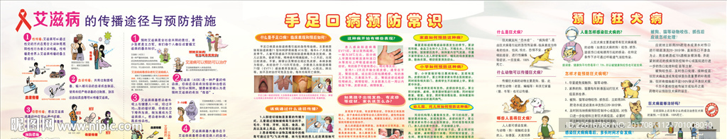 疾病预防展板