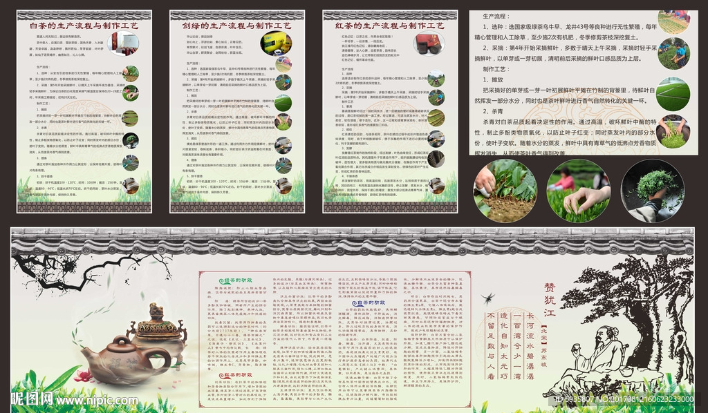 茶叶制作