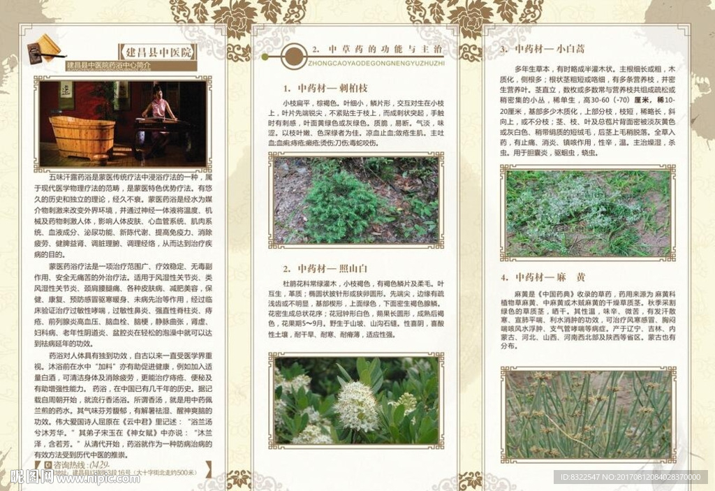 中医院药浴介绍三折页