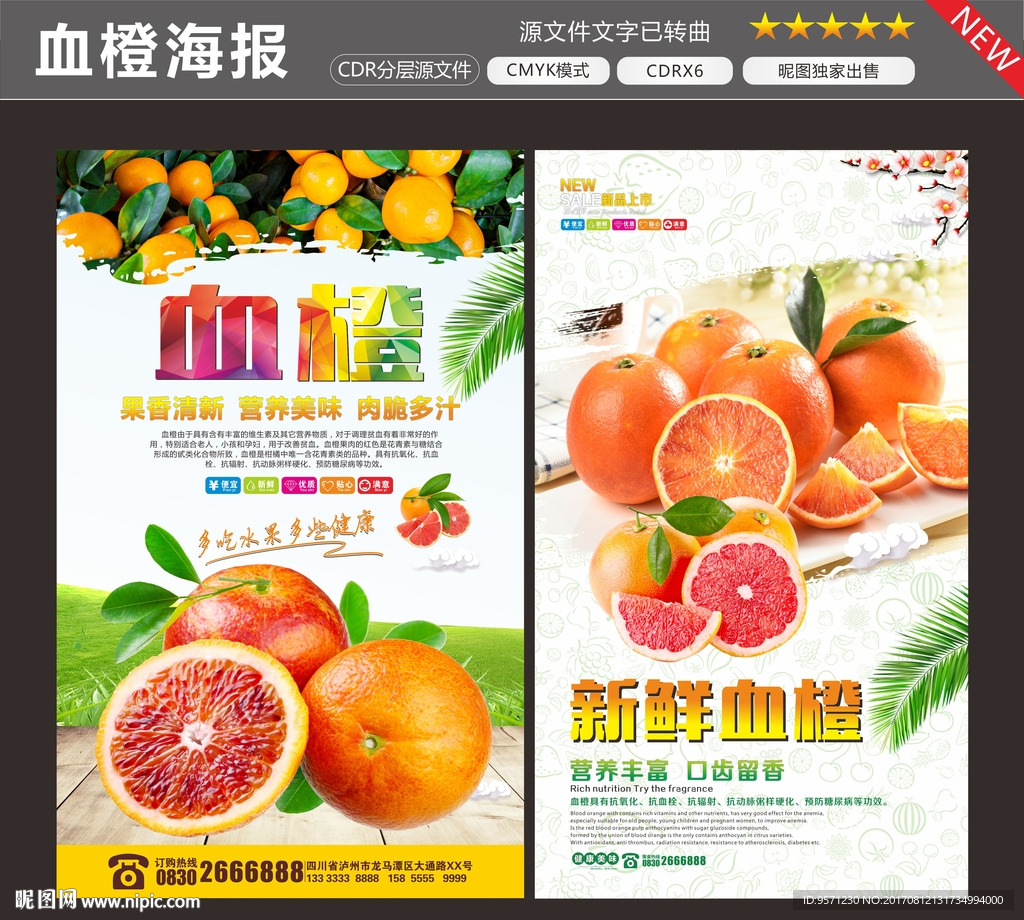 血橙