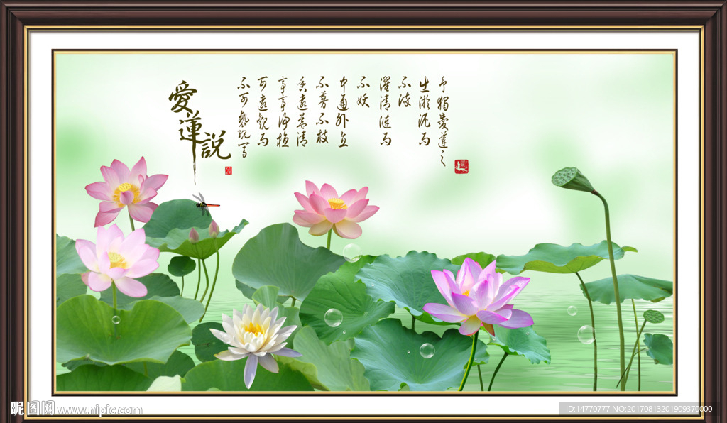 荷花装饰画