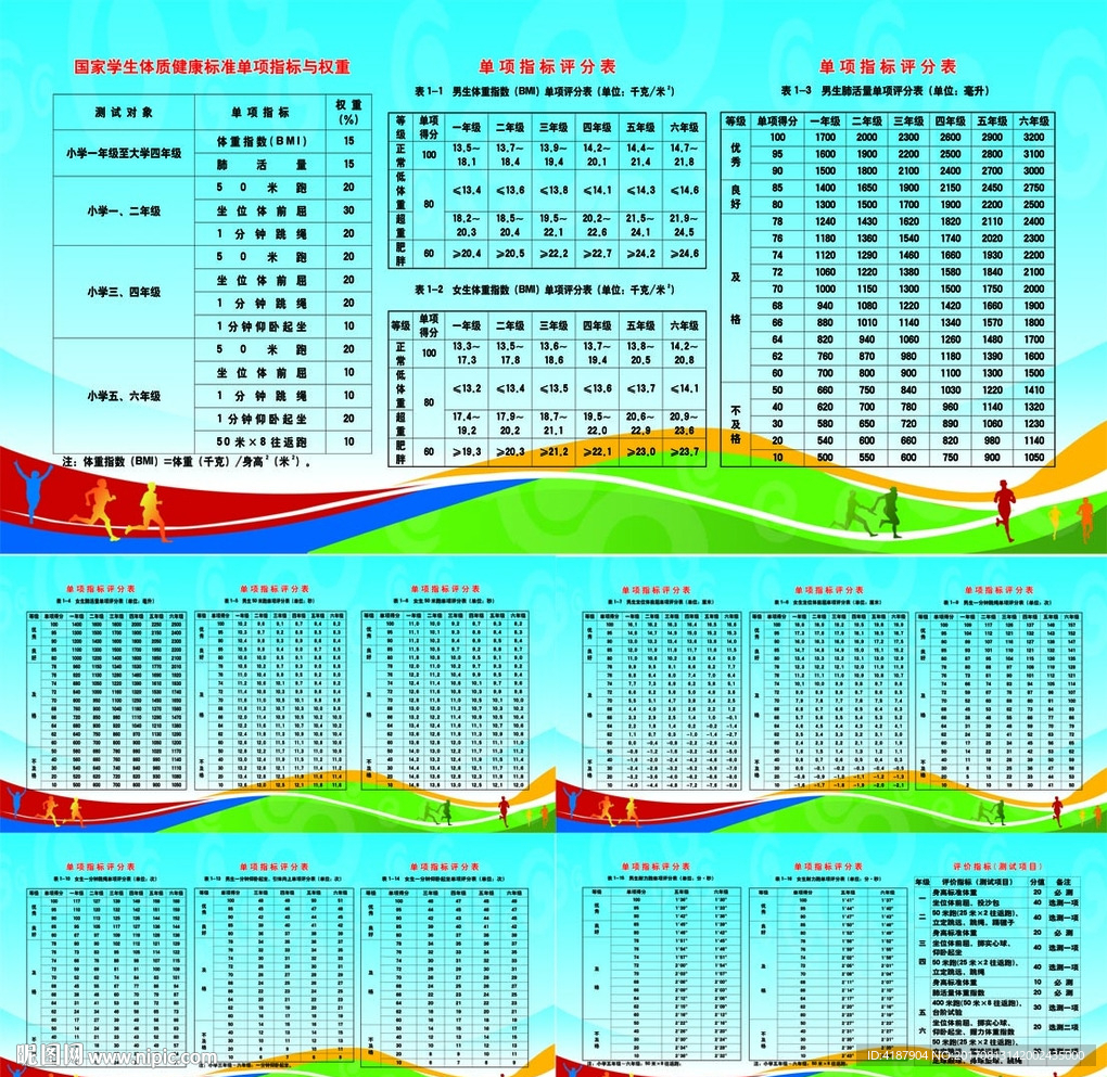 体育体质健康标准