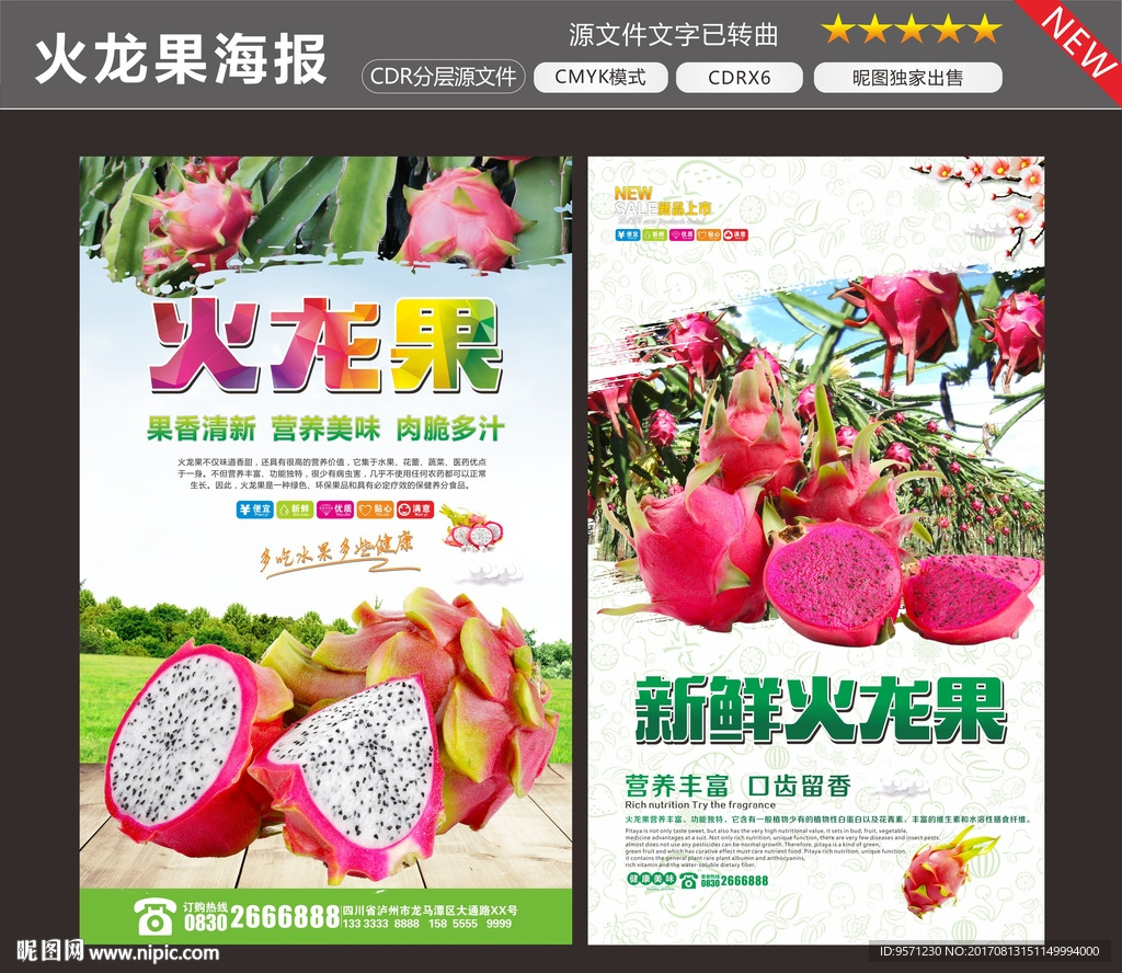 火龙果