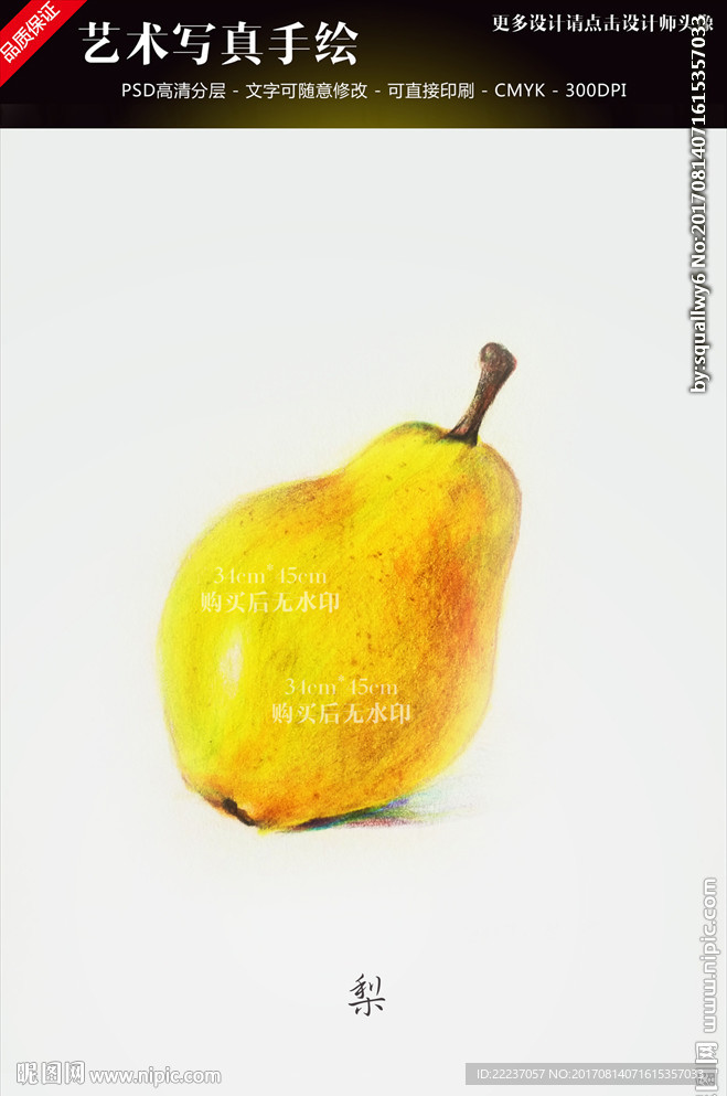 手绘素描梨图片