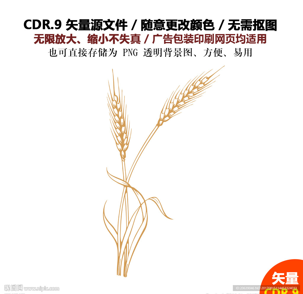 手绘麦子麦穗矢量图