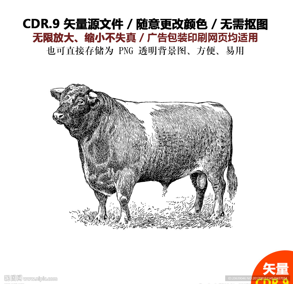 手绘线描奶牛牦牛矢量图