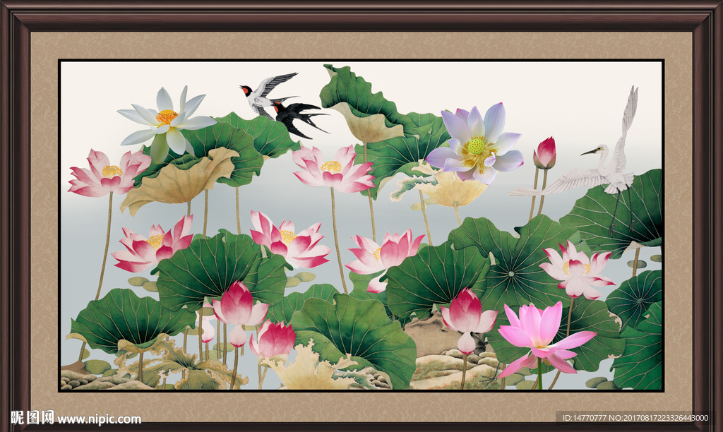 荷花图