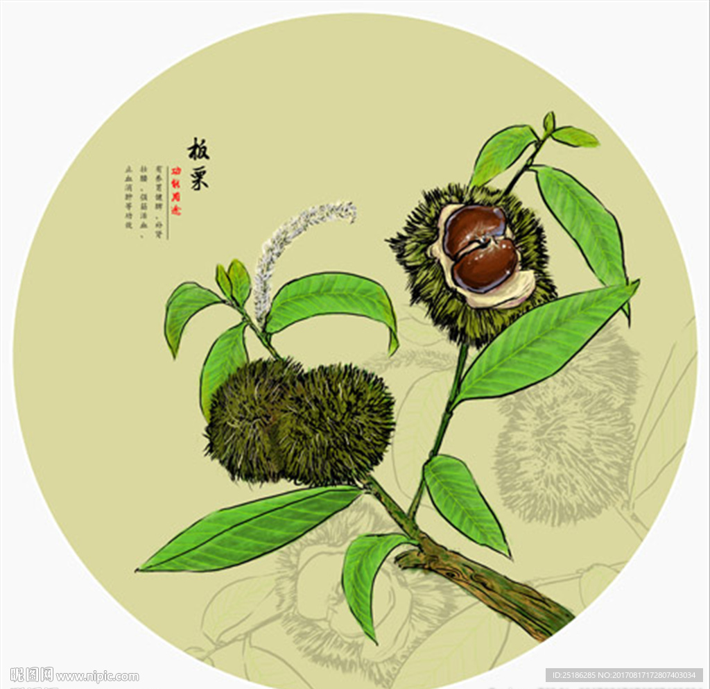 板栗包装野生板栗