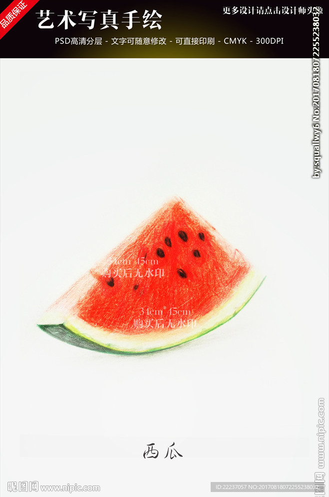 艺术手绘素描西瓜图画