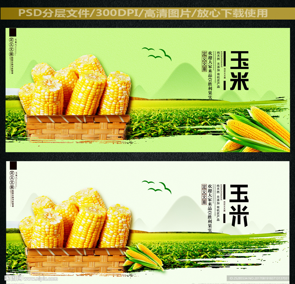 玉米