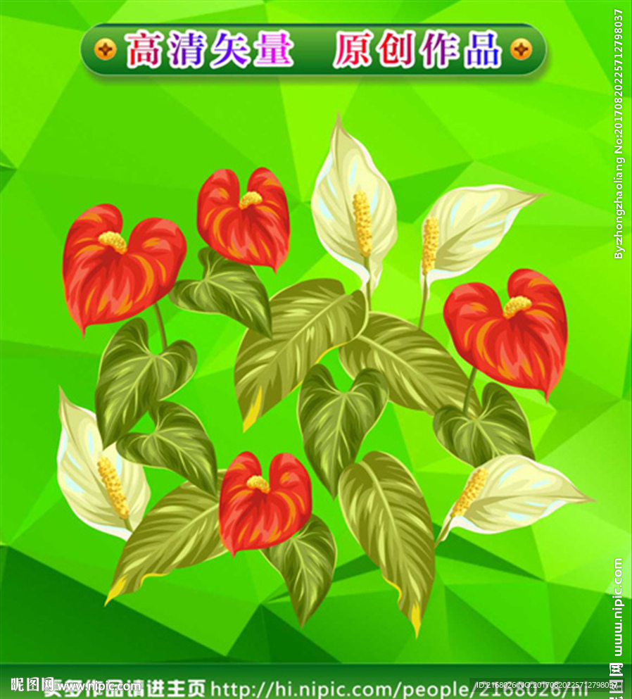 火鹤花