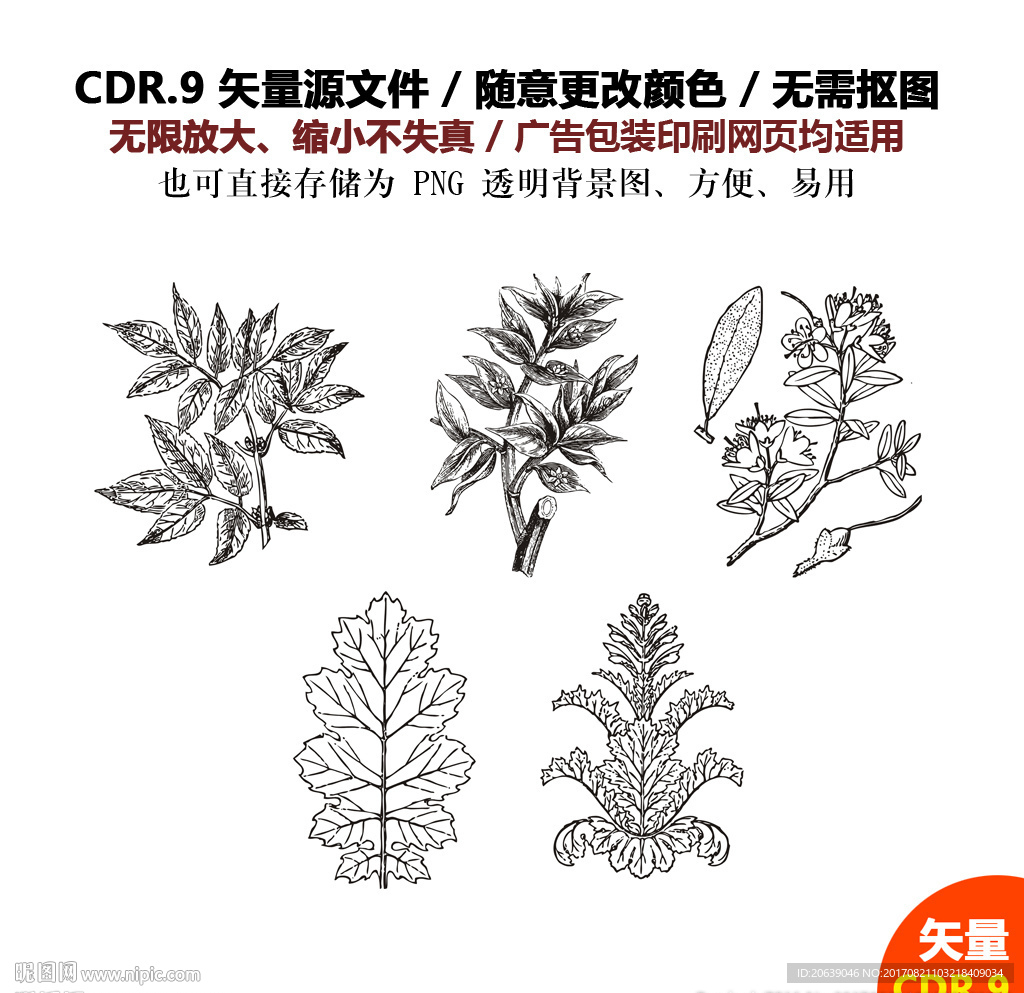 手绘植物花草盆景矢量图
