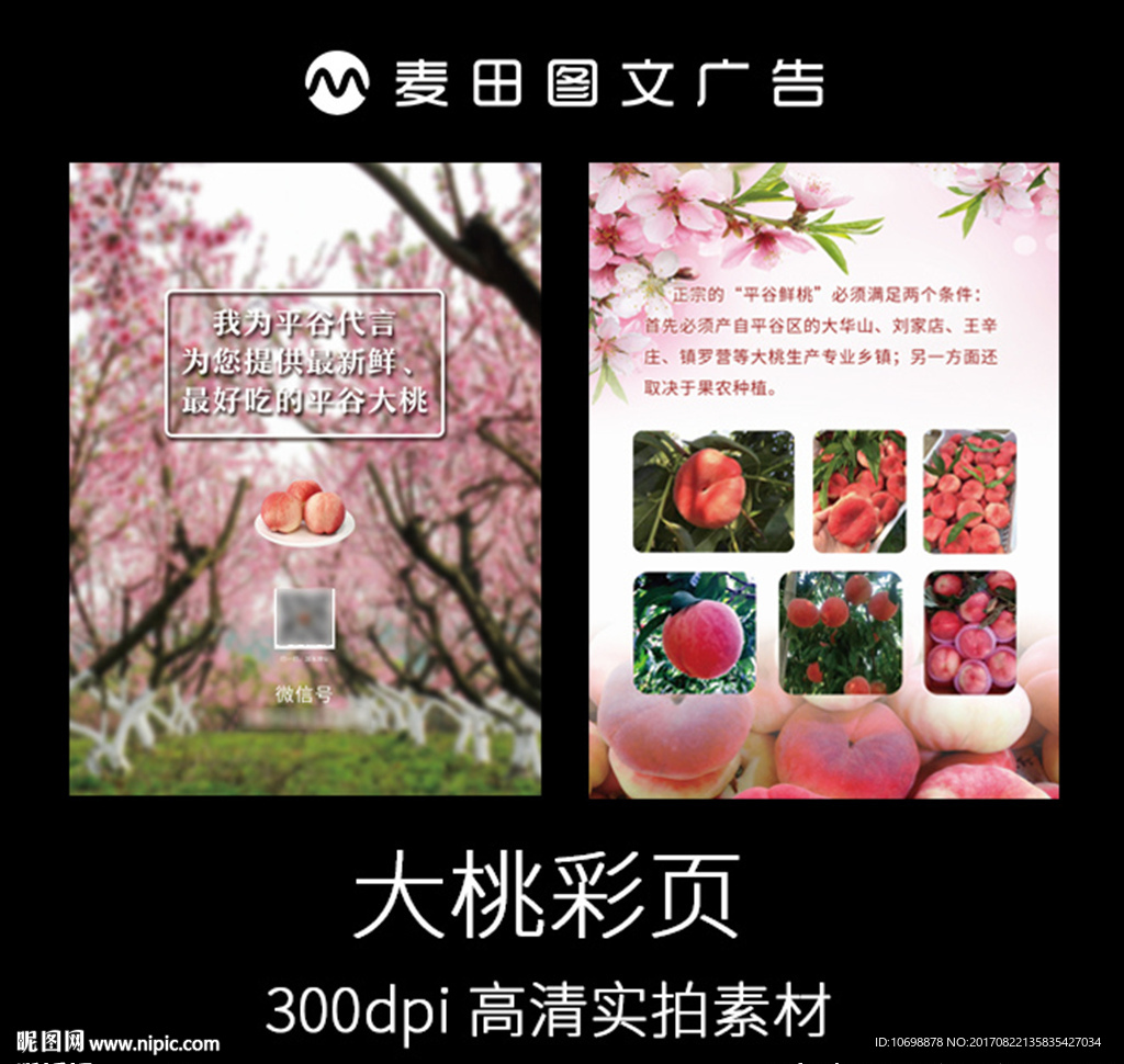 北京平谷大桃彩页