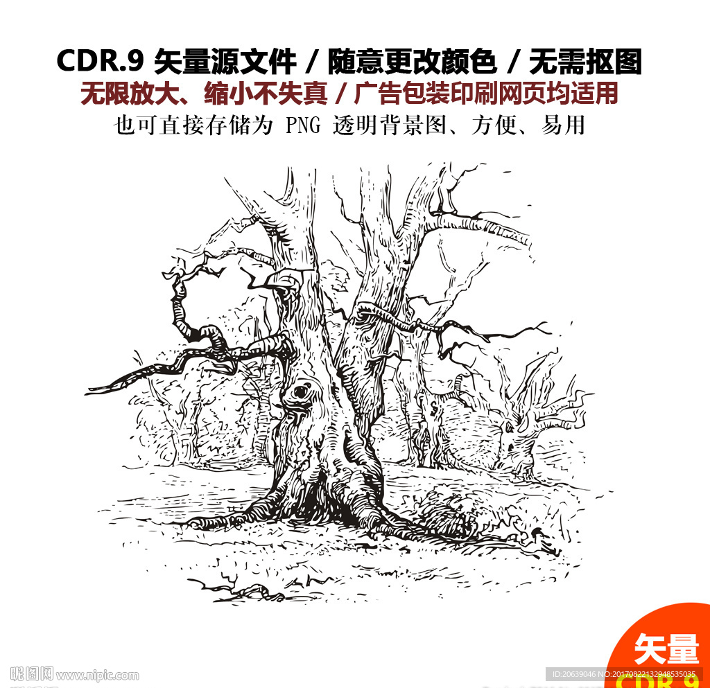 手绘森林古树矢量图