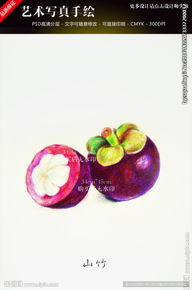 艺术手绘山竹图片