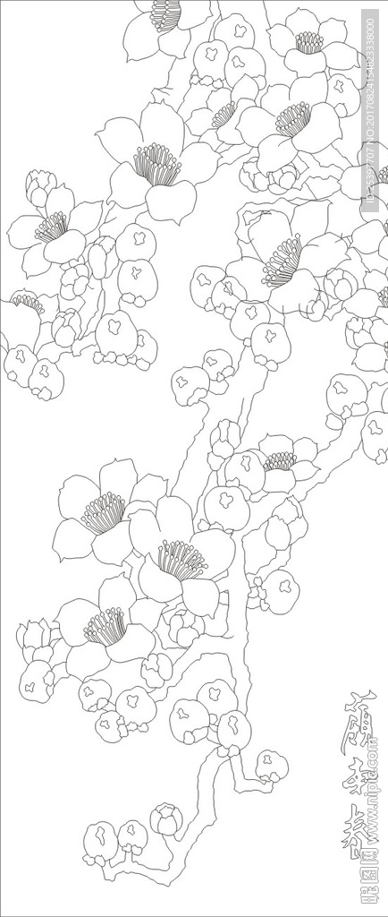 岭南春 木棉花