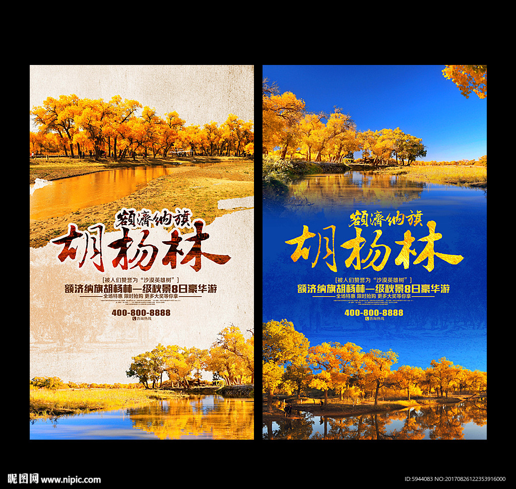 额济纳 胡杨林